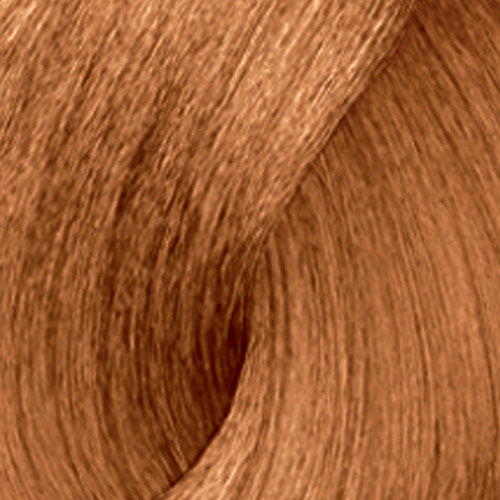Converge Andrew Halliday Premise Maritime Beauty - L'Oréal Professionnel Majirel 8.43 Converge Andrew Halliday Premise Maritime Beauty - L'Oréal Professionnel Majirel 8.43