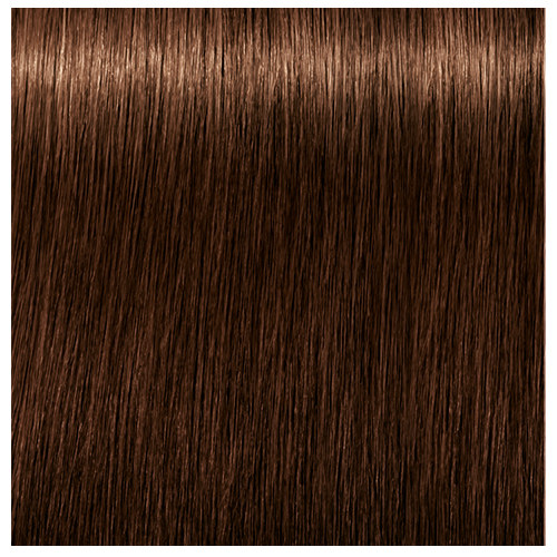 Schwarzkopf Igora Absolute Hair Color Chart