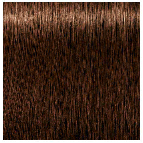 Schwarzkopf High Lift Color Chart