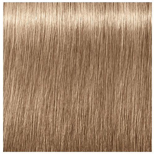 Tijdreeksen zo Bevestigen aan Maritime Beauty - Schwarzkopf Professional Igora Royal Absolutes Age Blend 8-140  Light Blonde Cendr&#233; Beige