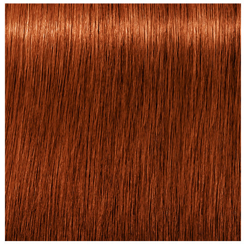 Schwarzkopf Igora Royal 60g 6-77 Dark Blonde Copper Extra