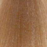 REDKEN  Shades EQ  09NB Irish Crème Neutral Brown/Blonde 60ML