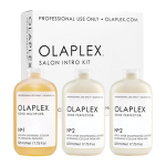 Olaplex Salon Kit