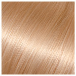 Babe Tape-In Hair Extensions 18in Straight Dixie (Color 600)