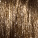 L'Oréal Professionnel DiaRichesse 8.13