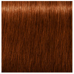 Schwarzkopf Professional Igora Royal Absolutes 6-70 Dark Blonde Copper Natural