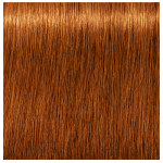 Schwarzkopf Professional Igora Royal Absolutes 7-70 Medium Blonde Copper Natural