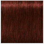 Schwarzkopf Professional Igora Royal Absolutes 5-80 Light Brown Red Natural