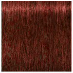 Schwarzkopf Professional Igora Royal Absolutes 6-80 Dark Blonde Red Natural