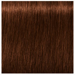 Schwarzkopf Professional Igora Royal Absolutes 5-70 Light Brown Copper Natural