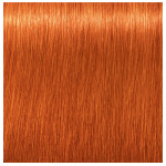 Schwarzkopf Professional Igora Royal Permanent Cream 8.77 Light Blonde Copper Extra