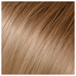 Babe Tape-In Hair Extension 22in Straight 12-600 Gabby