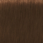 Schwarzkopf Professional Igora Royal Absolutes 7-470 Medium Blonde Beige Copper