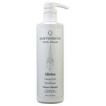 Quannessence QRefine Cleansing Gel 480ml