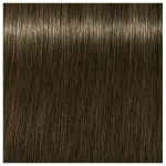 Schwarzkopf Professional 6-31 Igora Zero AMM Ammonia-Free Color Creme