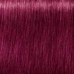 Schwarzkopf Professional Igora Vibrance 0-89 Red Violet Concentrate
