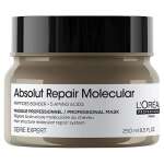 L'Oreal Professionnel Absolut Repair Molecular Concentrated Mask 250ml