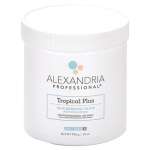Alexandria Professional Tropical PLUS Sugar Paste 992g