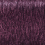 Schwarzkopf Professional 6-99 Igora Zero AMM Ammonia-Free Color Creme