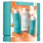 Moroccanoil Repair Spring Gift Set ($72 Retail Value)