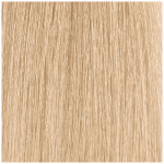Moroccanoil Color Eclipse Permanent Cream Color 10N/10.0