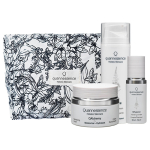 Quannessence Holiday Set with QRevive cleanser, QHyaluron complex and QAlchemy cream