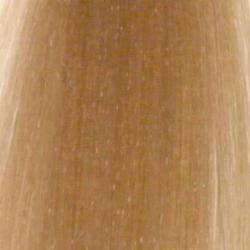 L'Oréal Professional Majirel 10.01 ASH
