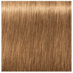 8-50 ABSOLUTES IGORA ROYAL SCHWARZKOPF