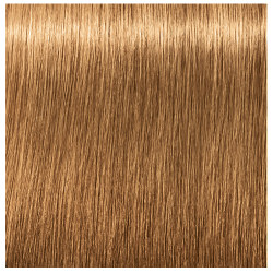 Schwarzkopf Igora Absolute Hair Color Chart