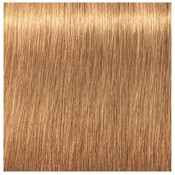 9-50 ABSOLUTES IGORA ROYAL SCHWARZKOPF