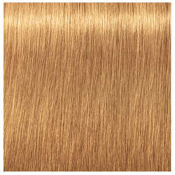 Schwarzkopf Igora Royal Color Chart