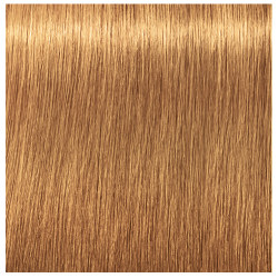 9-60 ABSOLUTES IGORA ROYAL SCHWARZKOPF