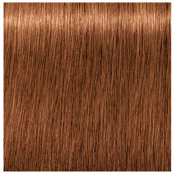 7-710 ABSOLUTES AGE BLEND IGORA ROYAL