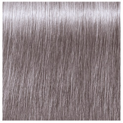 GREY LILAC  ABSOLUTES SILVERSHITE IGRY