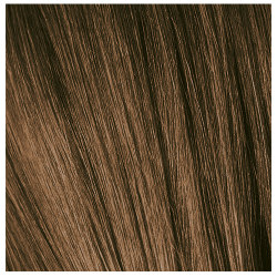 6-00 COLOR 10 IGORA PERMANENT CREAM