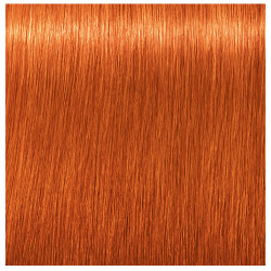 Schwarzkopf Igora Royal 8-77 Light Blonde Copper 