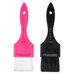 POWER PAINTER BRUSH SET (2) FRAMAR