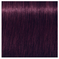 0-99 VIOLET CONCENTRATE IGORA VIBRANCE