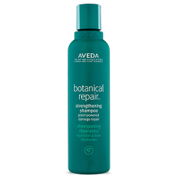 Aveda Botanical Repair Strengthening Shampoo