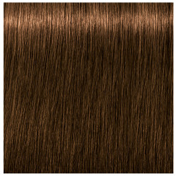 6-50 ABSOLUTES IGORA ROYAL SCHWARZKOPF