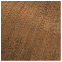 Creme of Nature: Exotic Shine Permanent Hair Color – Beauty Depot O-Store