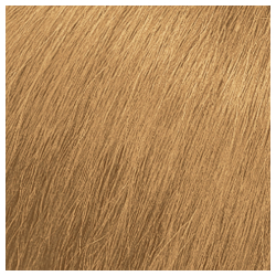 Matrix SoColor Extra Coverage 508W Medium Blonde Warm Pre-Bonded