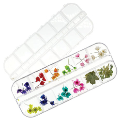 Valerie Ducharme Dried Flowers Mixed Kit 2