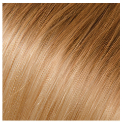 Babe Tape-In Hair Extension 22in Straight 12-600 Gabby