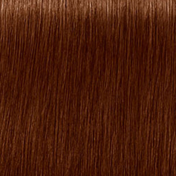 Schwarzkopf Professional Igora Royal Absolutes 7-460 Medium Blonde Beige Chocolate