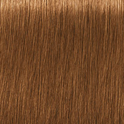 Schwarzkopf Professional Igora Royal Absolutes 9-470 Extra Light Blonde Beige Copper