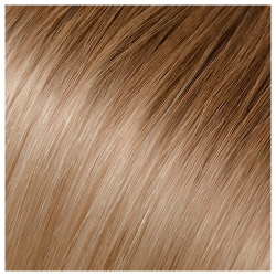 Babe Hand Tied Weft Extension 18.5in Straight Ombre #12/600 Gabby