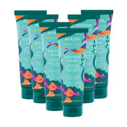 Aveda Limited-Edition Botanical Repair Strengthening Leave-In Treatment Salon Offer