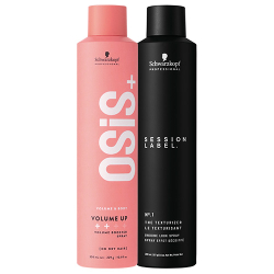 Schwarzkopf Hairspray Stock Up Offer ($50 Retail Value)