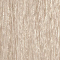 Moroccanoil Color Calypso 10BG Lightest Ash Gold Blonde Demi-Permanent Gloss Color
